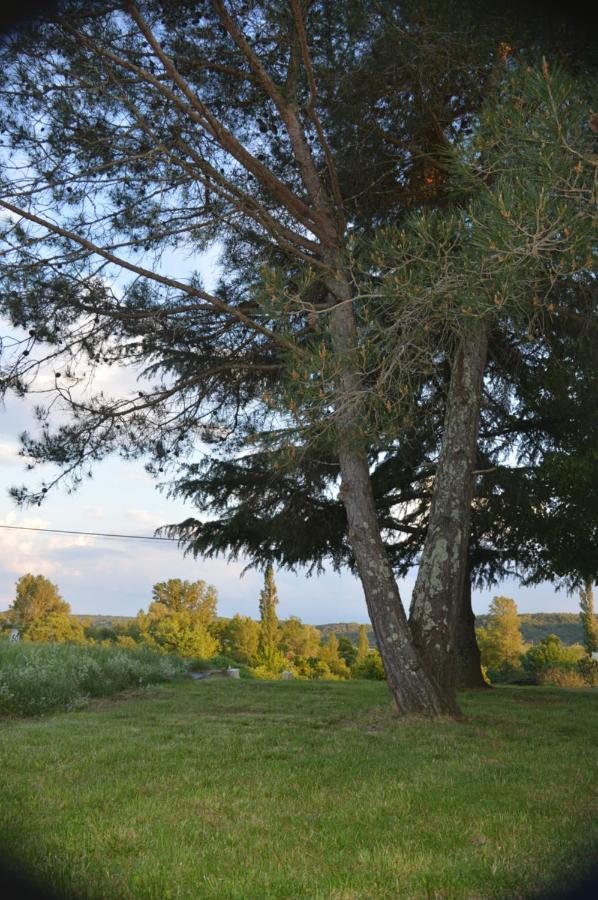 Les Loups Dans La Bergerie Bed & Breakfast Banne Екстериор снимка